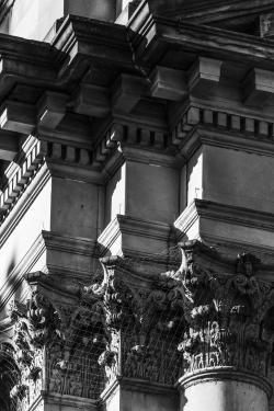 _MG_5519